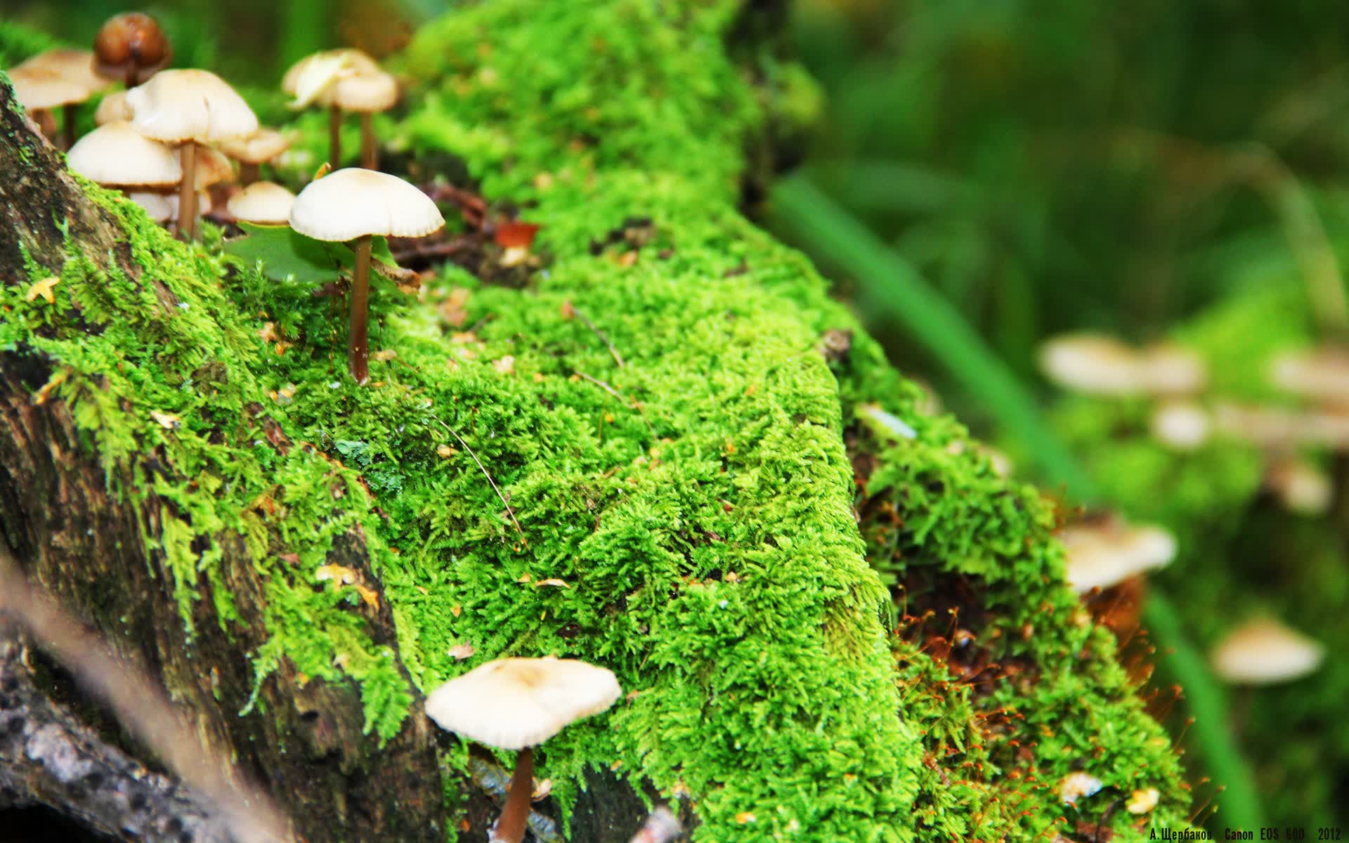 世界帆船科技创新奖：可持续材料获殊荣，高科技帆船